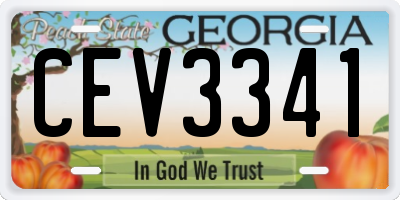 GA license plate CEV3341