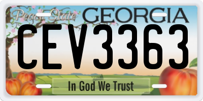 GA license plate CEV3363