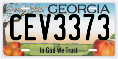 GA license plate CEV3373