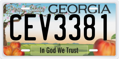 GA license plate CEV3381