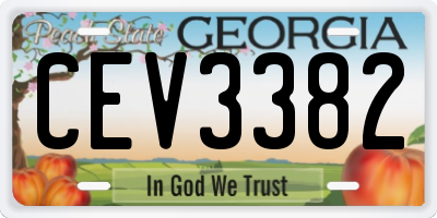 GA license plate CEV3382