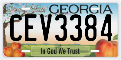 GA license plate CEV3384
