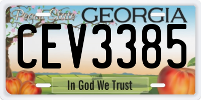 GA license plate CEV3385