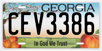 GA license plate CEV3386