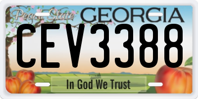 GA license plate CEV3388