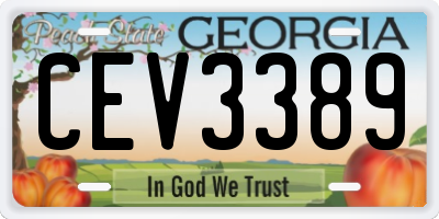 GA license plate CEV3389