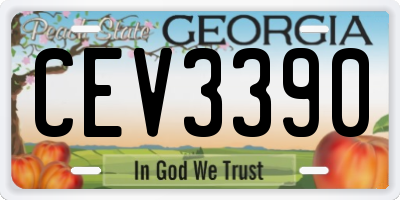 GA license plate CEV3390