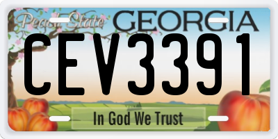 GA license plate CEV3391