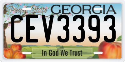GA license plate CEV3393