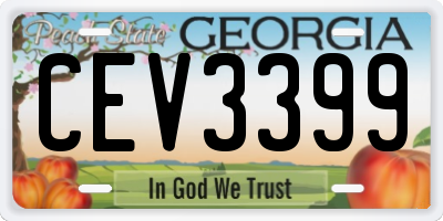 GA license plate CEV3399
