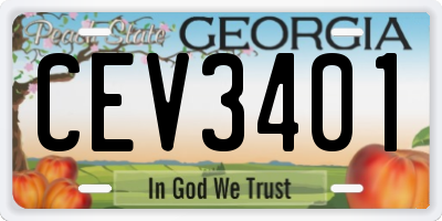 GA license plate CEV3401
