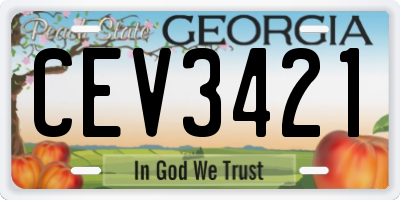 GA license plate CEV3421