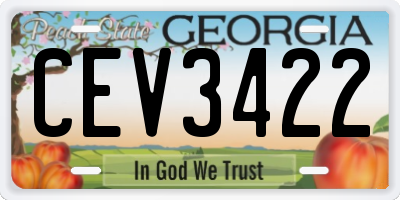 GA license plate CEV3422