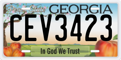 GA license plate CEV3423