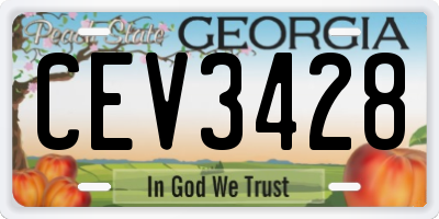 GA license plate CEV3428