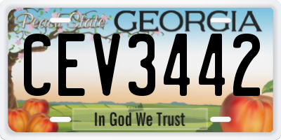 GA license plate CEV3442
