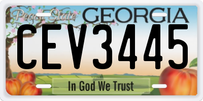 GA license plate CEV3445