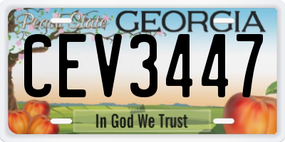 GA license plate CEV3447