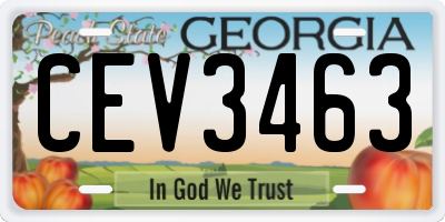 GA license plate CEV3463