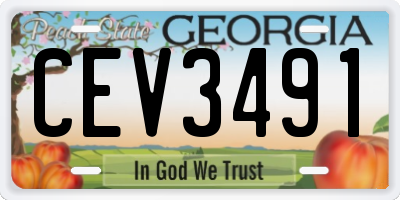 GA license plate CEV3491