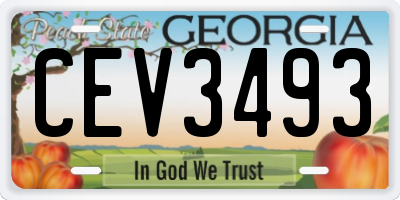 GA license plate CEV3493