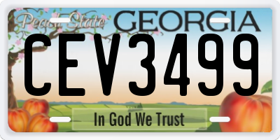 GA license plate CEV3499