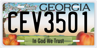 GA license plate CEV3501