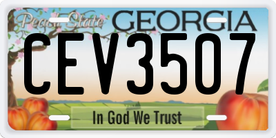 GA license plate CEV3507
