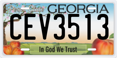 GA license plate CEV3513
