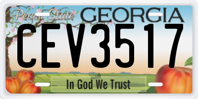 GA license plate CEV3517