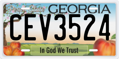 GA license plate CEV3524