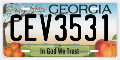 GA license plate CEV3531