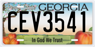 GA license plate CEV3541