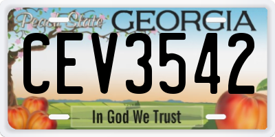 GA license plate CEV3542