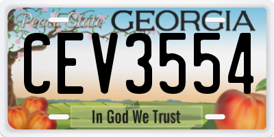 GA license plate CEV3554