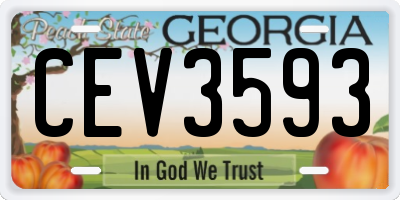 GA license plate CEV3593