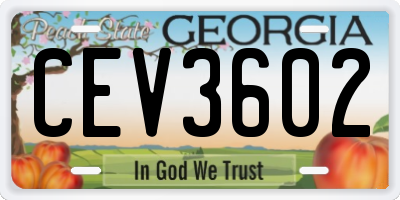 GA license plate CEV3602