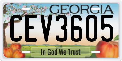 GA license plate CEV3605