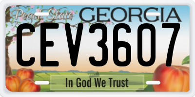GA license plate CEV3607