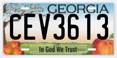 GA license plate CEV3613