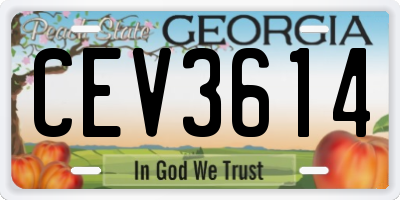 GA license plate CEV3614