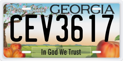 GA license plate CEV3617
