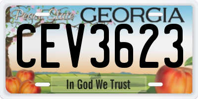 GA license plate CEV3623