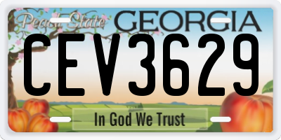 GA license plate CEV3629