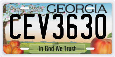 GA license plate CEV3630