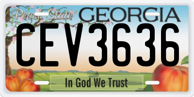 GA license plate CEV3636