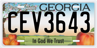 GA license plate CEV3643