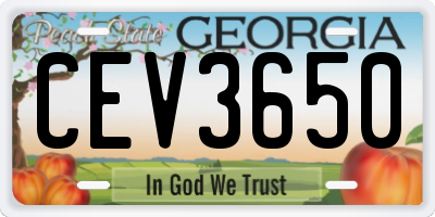 GA license plate CEV3650