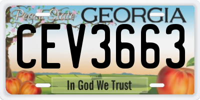 GA license plate CEV3663
