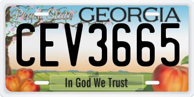GA license plate CEV3665